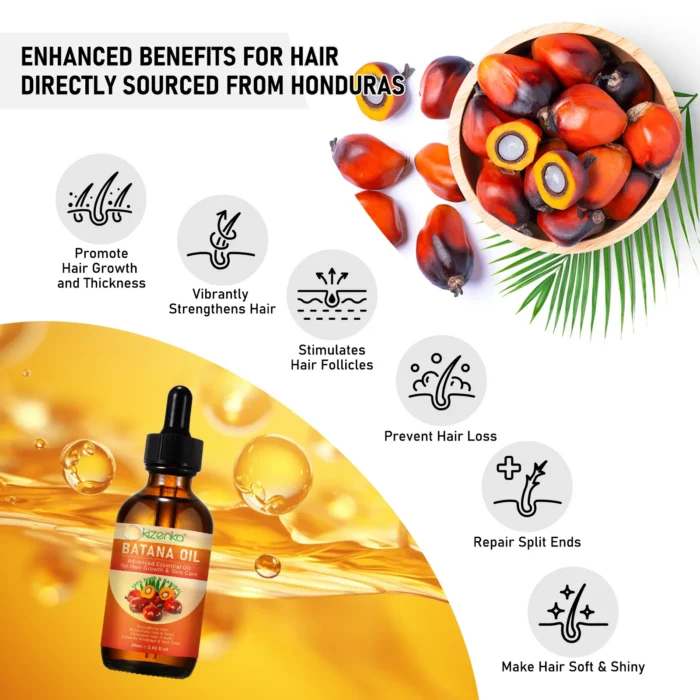 Cold Pressed Honduras Batana Oil for Hair Growth 60ml - Kizenka - benefits